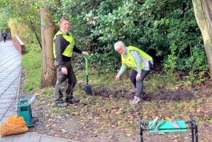 Planting at Hillhead Primary School